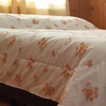 Ushuaia Centro Lejlighed Eksteriør billede