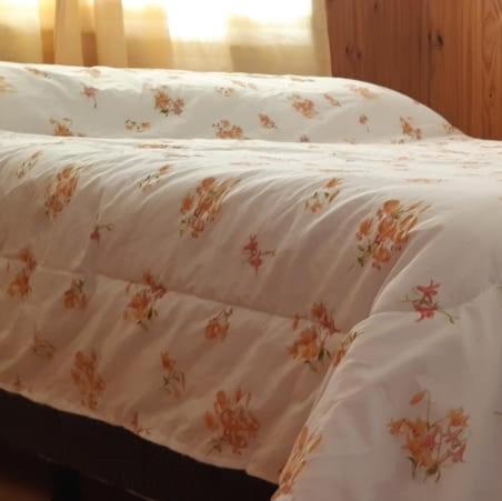 Ushuaia Centro Lejlighed Eksteriør billede